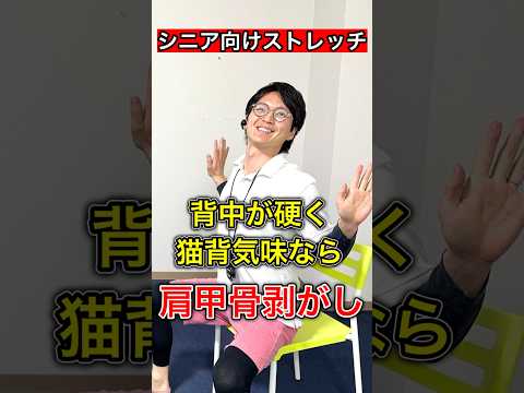 【姿勢改善】猫背が気になる人にお勧めの肩甲骨剥がし