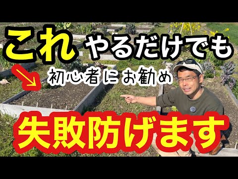 【家庭菜園】初心者にお勧め!失敗を減らして栽培管理が楽になるレイズドベッドの特徴解説《ハコニワ菜園/食料自給/無農薬/自然栽培》